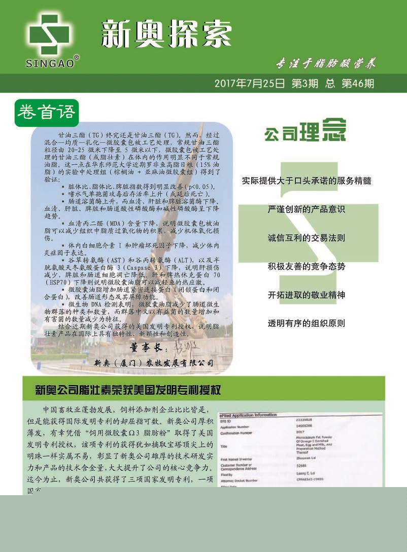 2025新澳三期必出一肖,警惕虚假宣传落实,定量解答解释落实